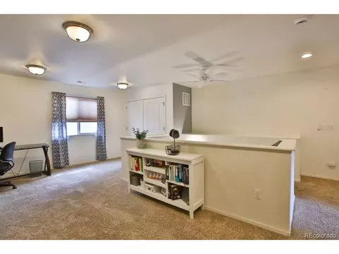 18709 E 47th Dr, Denver, CO 80249 photo 30