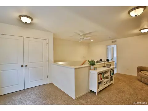 18709 E 47th Dr, Denver, CO 80249 photo 31