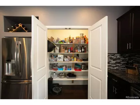 18709 E 47th Dr, Denver, CO 80249 photo 10