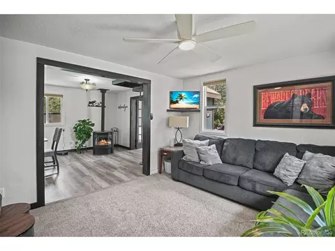 12806 S Cindy Ave, Pine, CO 80470 photo 11
