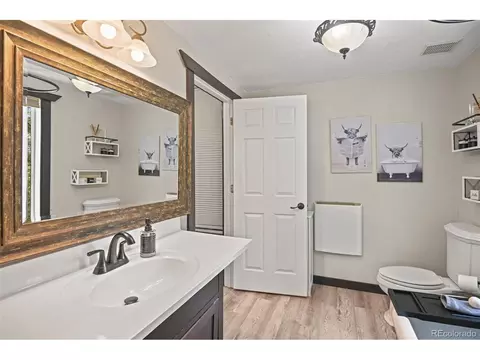 12806 S Cindy Ave, Pine, CO 80470 photo 19