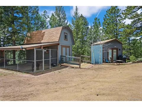 12806 S Cindy Ave, Pine, CO 80470 photo 33
