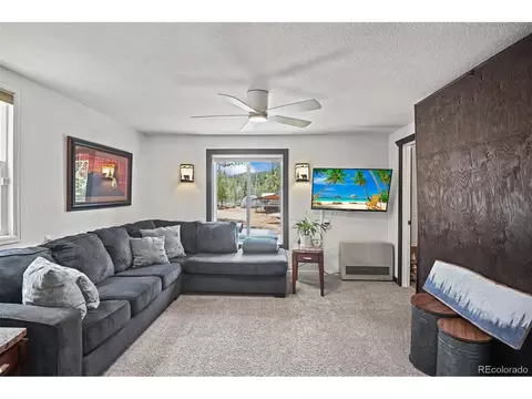 12806 S Cindy Ave, Pine, CO 80470 photo 13