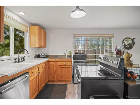 12806 S Cindy Ave, Pine, CO 80470 photo 9