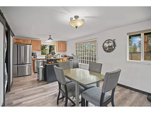 12806 S Cindy Ave, Pine, CO 80470 photo 7