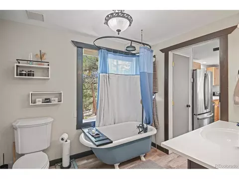 12806 S Cindy Ave, Pine, CO 80470 photo 20
