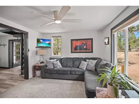 12806 S Cindy Ave, Pine, CO 80470 photo 12