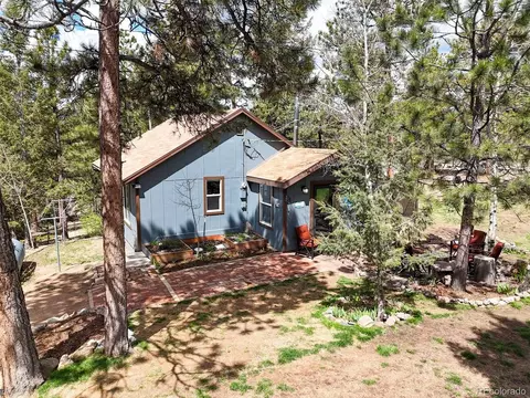 12806 S Cindy Ave, Pine, CO 80470 photo 30