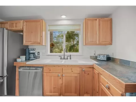 12806 S Cindy Ave, Pine, CO 80470 photo 10