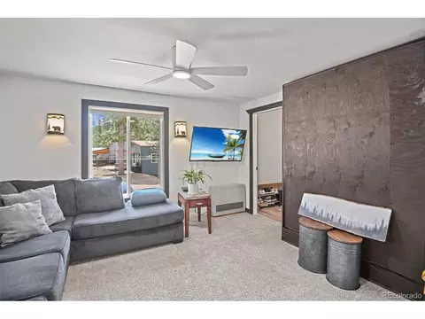 12806 S Cindy Ave, Pine, CO 80470 photo 14