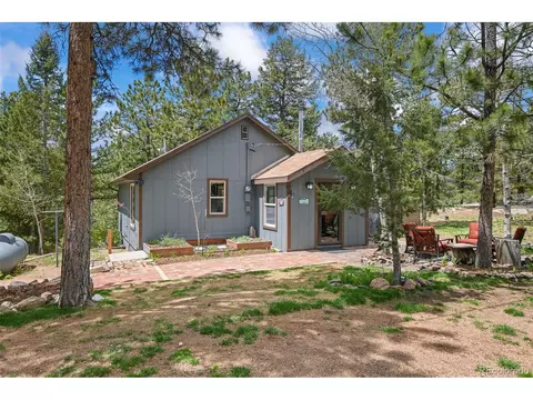 12806 S Cindy Ave, Pine, CO 80470 photo 2