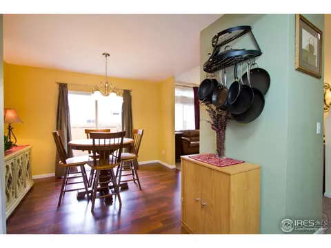 732 Apple Ct, Windsor, CO 80550 photo 7