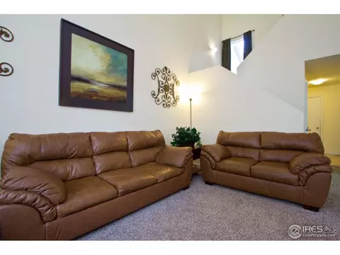 732 Apple Ct, Windsor, CO 80550 photo 12