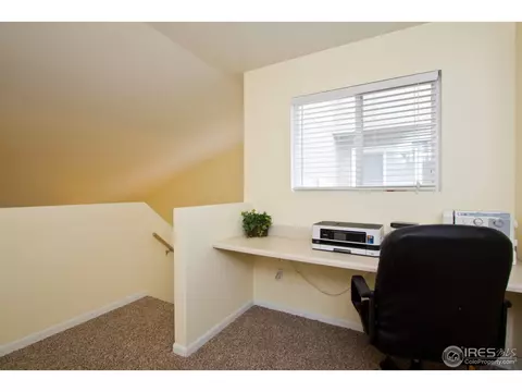 732 Apple Ct, Windsor, CO 80550 photo 16