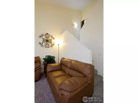 732 Apple Ct, Windsor, CO 80550 photo 13