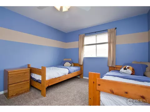 732 Apple Ct, Windsor, CO 80550 photo 19