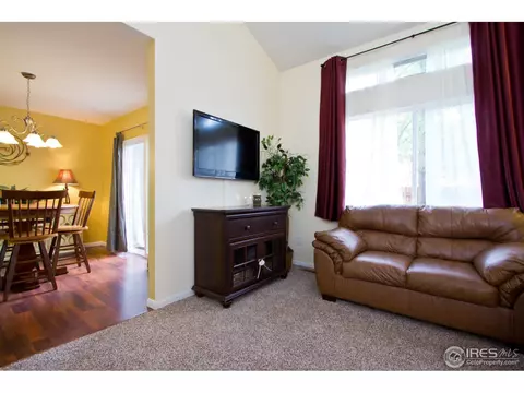 732 Apple Ct, Windsor, CO 80550 photo 11