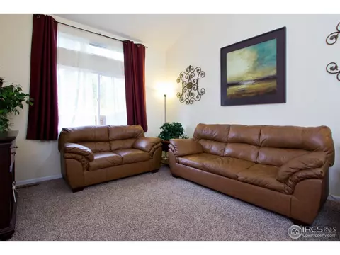 732 Apple Ct, Windsor, CO 80550 photo 14
