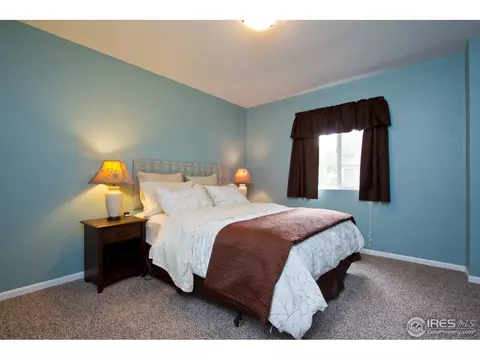732 Apple Ct, Windsor, CO 80550 photo 18