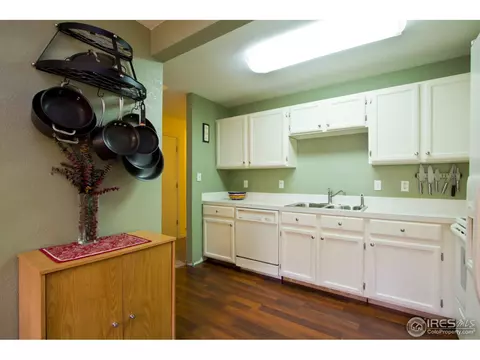 732 Apple Ct, Windsor, CO 80550 photo 8