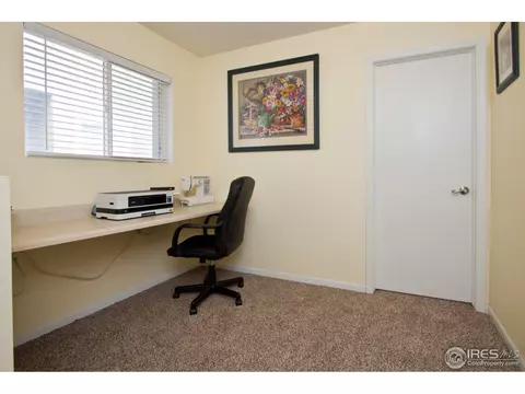 732 Apple Ct, Windsor, CO 80550 photo 17