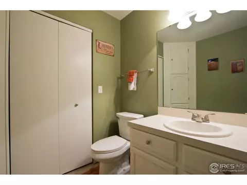 732 Apple Ct, Windsor, CO 80550 photo 15