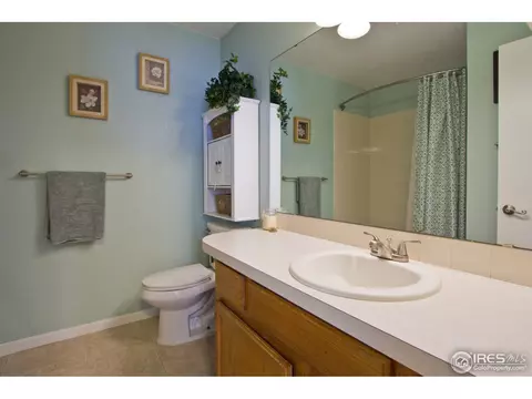 732 Apple Ct, Windsor, CO 80550 photo 20