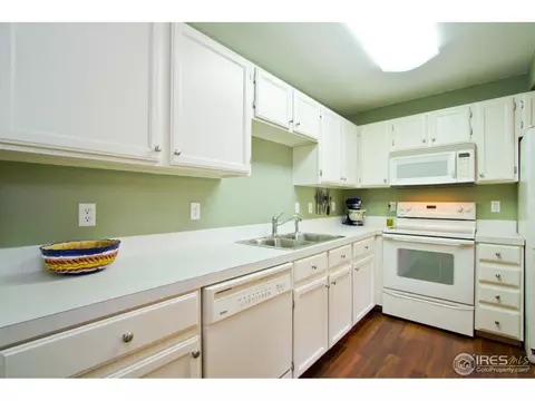 732 Apple Ct, Windsor, CO 80550 photo 5