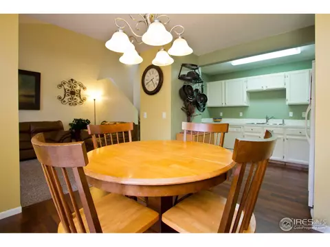 732 Apple Ct, Windsor, CO 80550 photo 10
