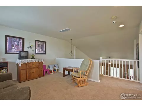 6715 Tenderfoot Ave, Firestone, CO 80504 photo 20