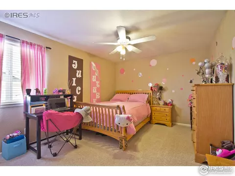 9043 Drake Way, Frederick, CO 80504 photo 16