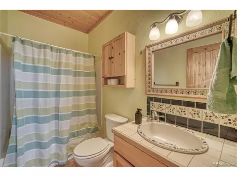 116 Leprechaun Ln, Howard, CO 81233 photo 26