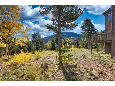 10428 Christopher Dr, Conifer, CO 80433 photo 39
