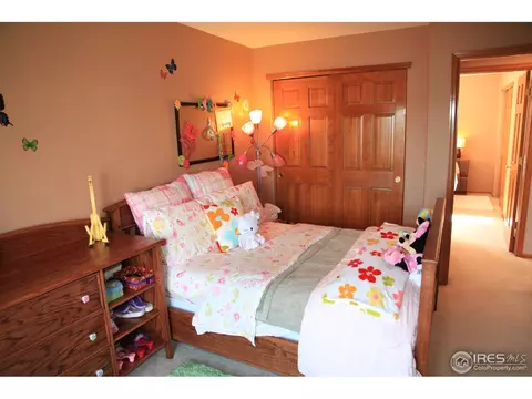1500 Aster Ct, Superior, CO 80027 photo 14