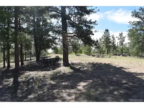 561 Aspen Cir, Hartsel, CO 80449