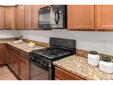 4347 E 95th Dr, Thornton, CO 80229 photo 16