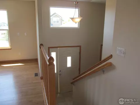 430 Sorrel Dr, Windsor, CO 80550 photo 9
