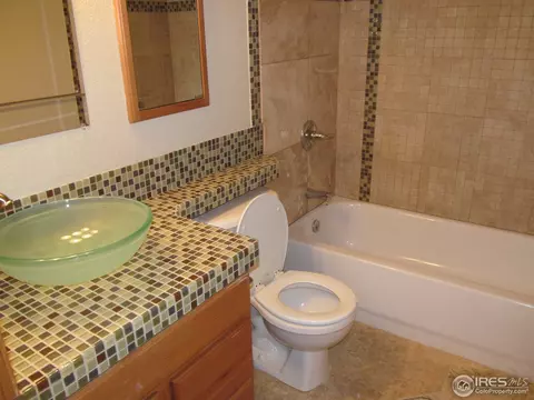 430 Sorrel Dr, Windsor, CO 80550 photo 10