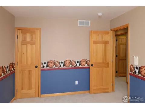 137 Becker Cir, Johnstown, CO 80534 photo 18