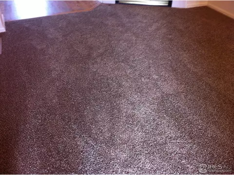 5439 Fox Run Blvd, Frederick, CO 80504 photo 7