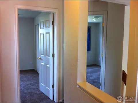 5439 Fox Run Blvd, Frederick, CO 80504 photo 12