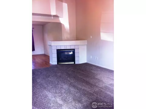5439 Fox Run Blvd, Frederick, CO 80504 photo 3