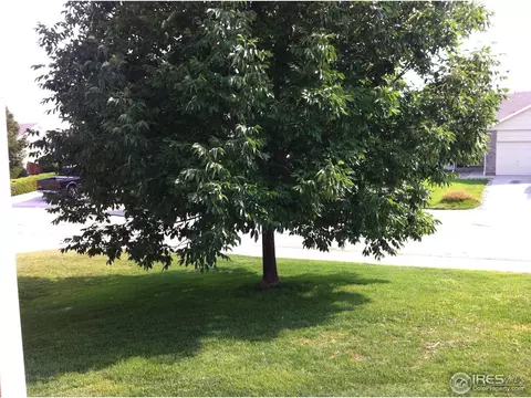 5439 Fox Run Blvd, Frederick, CO 80504 photo 14