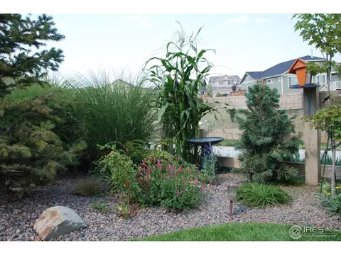 7901 E 133rd Ave, Thornton, CO 80602 photo 19