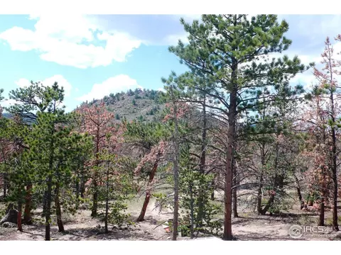 102 Tiny Bob Rd, Red Feather Lakes, CO 80545 photo 11