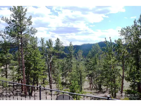 102 Tiny Bob Rd, Red Feather Lakes, CO 80545 photo 10