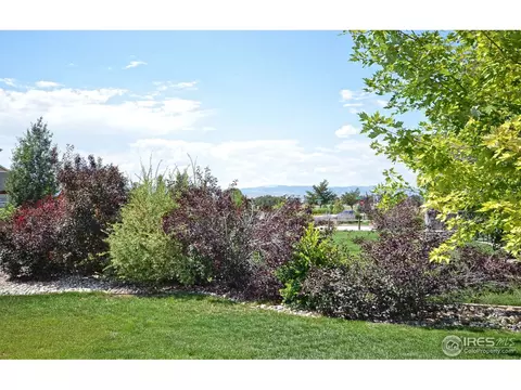 5417 Gulfstar Dr, Windsor, CO 80528 photo 23
