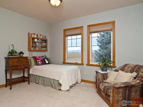 2337 Doyle Dr, Berthoud, CO 80513 photo 18
