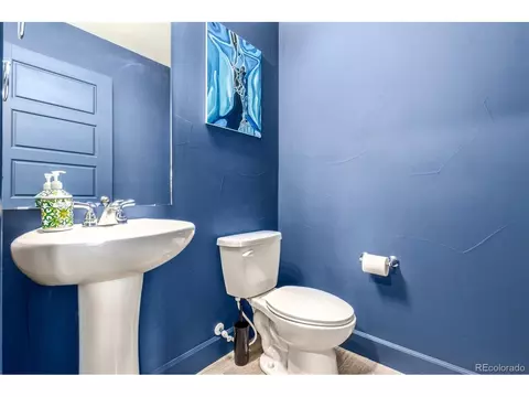 18691 E 50th Pl, Denver, CO 80249 photo 19