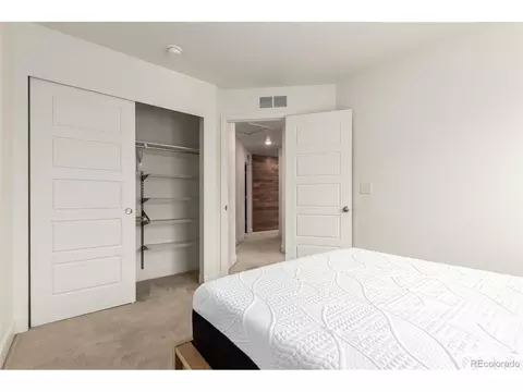 18691 E 50th Pl, Denver, CO 80249 photo 22
